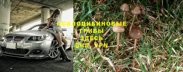 эйфоретик Ельня