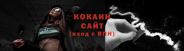гидропоника Пересвет