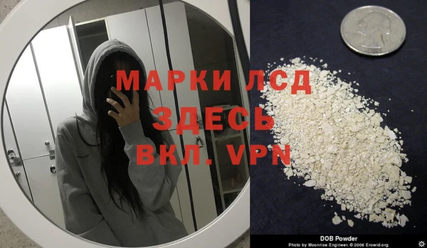эйфоретик Ельня