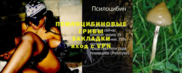 трава Переславль-Залесский