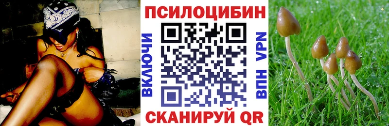 Псилоцибиновые грибы GOLDEN TEACHER Кадников